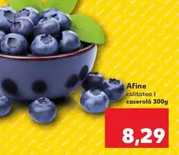 Kaufland Afine Ofertă