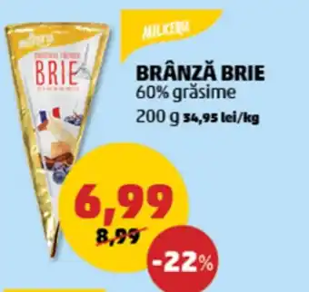 Penny BRÂNZĂ BRIE Ofertă