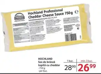 Selgros HOCHLAND Sos de brânză topită cu cheddar Ofertă