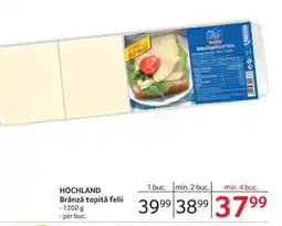 Selgros HOCHLAND Brânză topită felii Ofertă