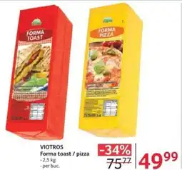 Selgros VIOTROS Forma toast / pizza Ofertă