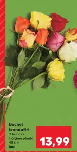 Buchet trandafiri