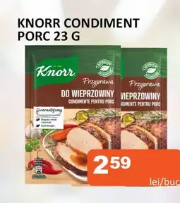 Unicarm KNORR CONDIMENT PORC 23 G Ofertă