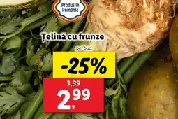 Telină cu frunze