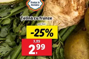 Lidl Telină cu frunze Ofertă