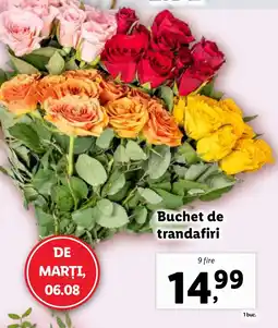 Lidl Buchet de trandafiri Ofertă