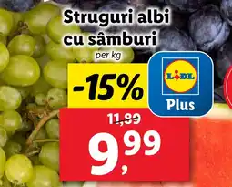 Lidl Struguri albi cu sâmburi Ofertă