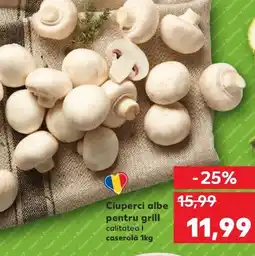 Kaufland Ciuperci albe pentru grill Ofertă