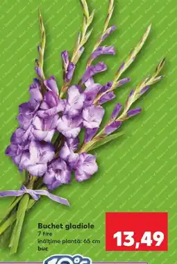 Buchet gladiole