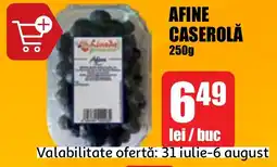 AFINE CASEROLĂ