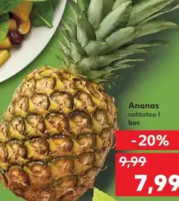 Kaufland Ananas Ofertă