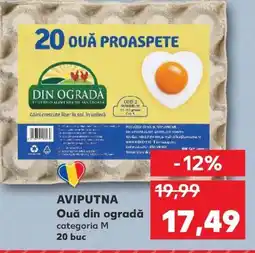 Kaufland AVIPUTNA Ouă din ogradă Ofertă