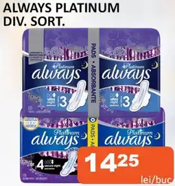 Unicarm ALWAYS PLATINUM DIV. SORT. Ofertă