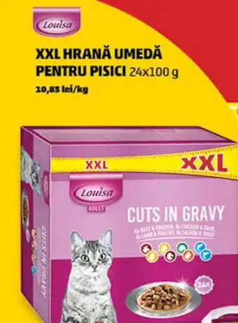 Penny XXL HRANA UMEDĂ PENTRU PISICI Ofertă