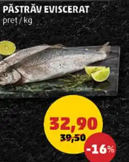 Penny PĂSTRĂV EVISCERAT Ofertă