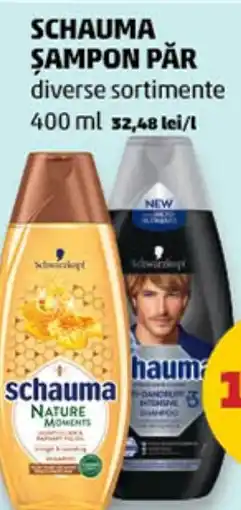 Penny SCHAUMA ŞAMPON PĂR Ofertă