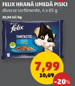 Penny FELIX HRANA UMEDĂ PISICI Ofertă
