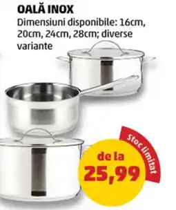 Penny OALĂ INOX Ofertă