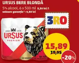 URSUS BERE BLONDĂ