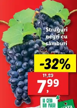 Lidl Struguri negri cu sâmburi Ofertă
