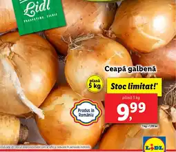 Lidl Ceapǎ galbenă Ofertă