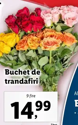 Lidl Buchet de trandafiri Ofertă