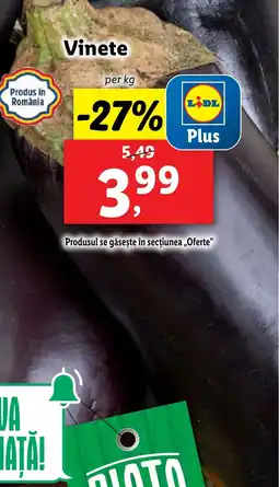 Lidl Vinete Ofertă