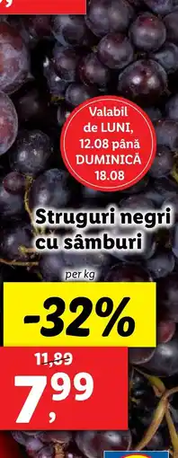 Lidl Struguri negri cu sâmburi Ofertă