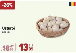 Carrefour Usturoi Ofertă