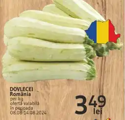 Supeco DOVLECEI România Ofertă