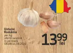 Supeco Usturoi România Ofertă