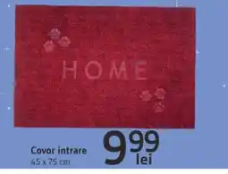 Covor intrare
