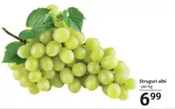 Selgros Struguri albi Ofertă