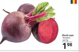 Selgros Sfeclă roșie Ofertă