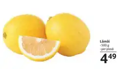 Selgros Lămâi Ofertă