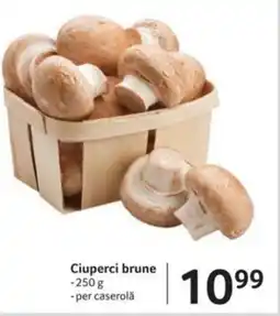 Selgros Ciuperci brune Ofertă