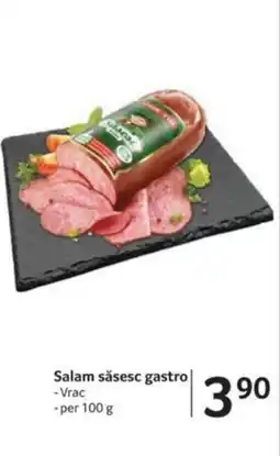 Selgros Salam săsesc gastro Ofertă