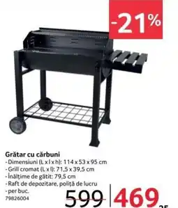 Selgros Grătar cu cărbuni Ofertă