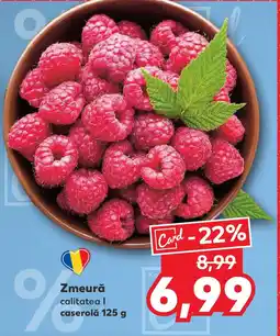 Kaufland Zmeură Ofertă