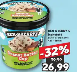 BEN & JERRY'S Îngheţată