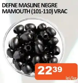Unicarm DEFNE MASLINE NEGRE MAMOUTH (101-110) VRAC Ofertă