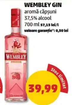 Penny WEMBLEY GIN Ofertă
