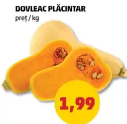 Penny DOVLEAC PLĂCINTAR Ofertă