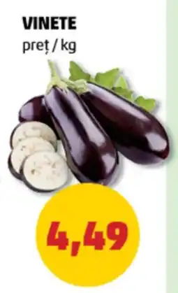 Penny VINETE Ofertă
