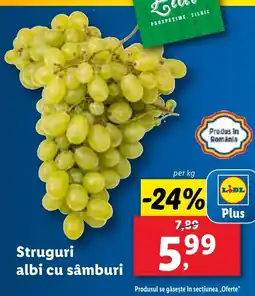 Lidl Struguri albi cu sâmburi Ofertă