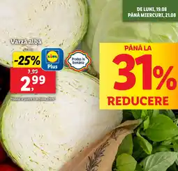 Lidl Varză albă Ofertă