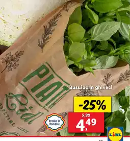Lidl Busuioc în ghiveci Ofertă