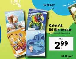 Caiet A5, 80 file, capsat