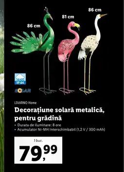 Lidl Decorațiune solară metalică, pentru grădină Ofertă