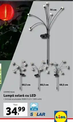 Lidl Lampǎ solară cu LED Ofertă